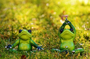 frogs-1109775_960_720